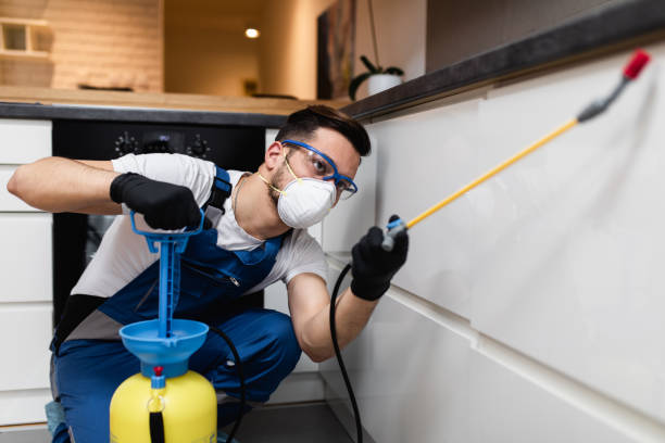 Best Best Pest Control Companies  in Buffalo, SC