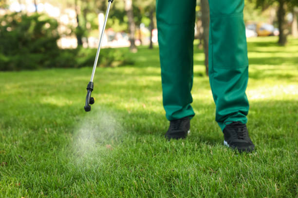 Flea Control Services in Buffalo, SC