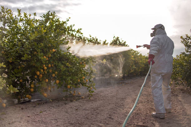 Best Affordable Pest Control Services  in Buffalo, SC