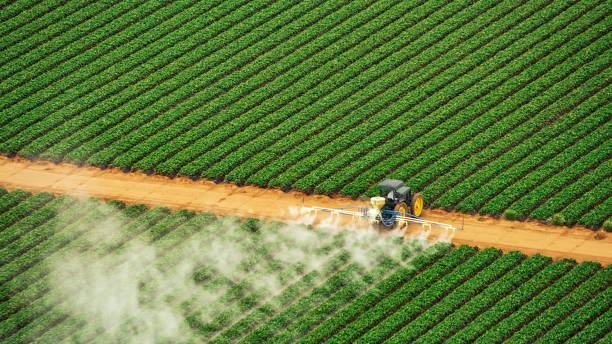 Best Commercial Pest Control Services  in Buffalo, SC