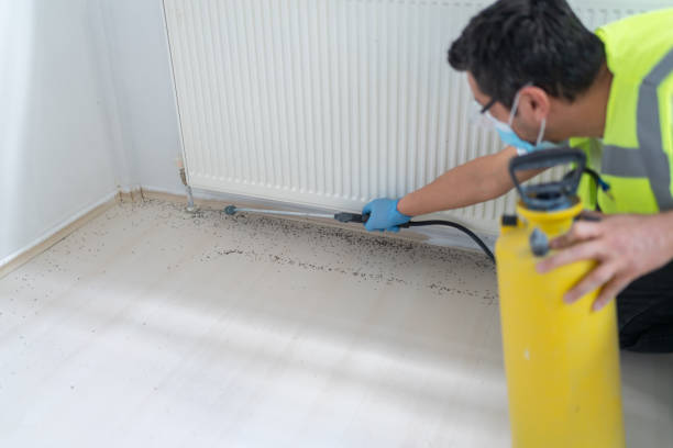 Best Pest Prevention Services  in Buffalo, SC